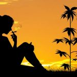 Everything You Need to Know to Get the Perfect Marijuana High