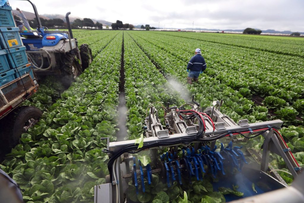 Two women arrested for $3 million embezzlement scheme from Monterey County agriculture company