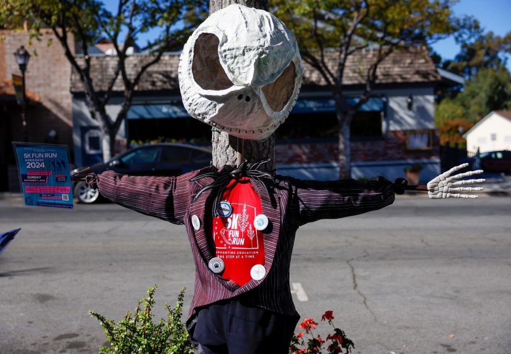 Jack Skellington, Palm Lady among winners of Saratoga’s scarecrow contest