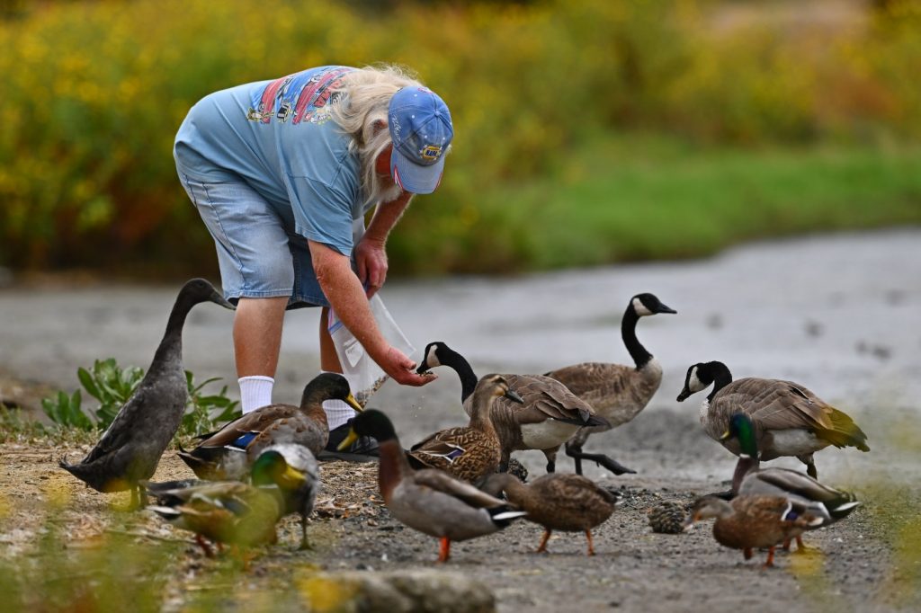 Mild temperatures expected in Bay Area with slight chance of rain mid-week