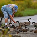 Mild temperatures expected in Bay Area with slight chance of rain mid-week