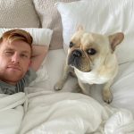 Bay Area man claims his beloved French bulldog, moved from first class to coach, died from airline’s negligence