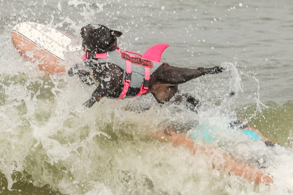 Another day of searing heat for the Bay Area. When will it cool down?