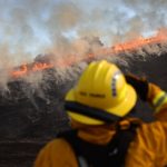 Cal Fire, County Parks set prescribed burns to help prevent fires