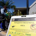 California investigates dengue case in patient with no travel history