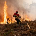 How the source of your tissues and toilet paper is fueling wildfires thousands of miles away