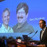 Berkeley native Gary Ruvkun and Victor Ambros win Nobel Prize in medicine for discovery of microRNA