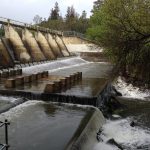 Los Gatos Creek trail detours in place this fall