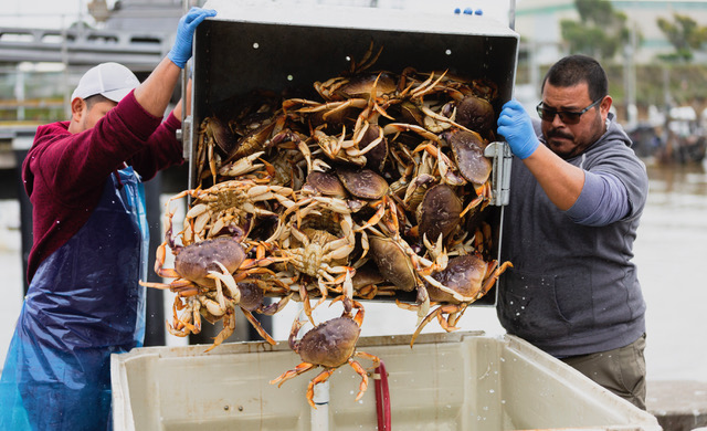 Weiss: Holiday dining and our changing seas; examining the future of Wes Coast seafood