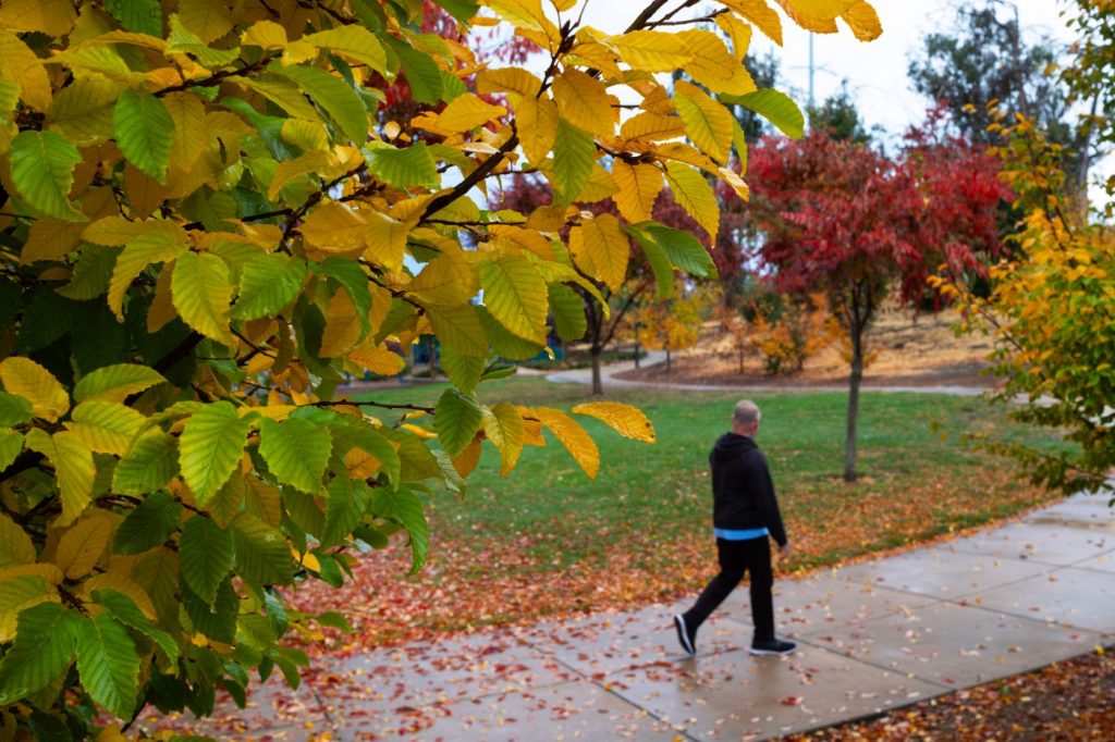 Forecasters say rain is still coming to Bay Area after clear, sunny morning