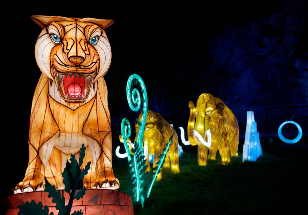 ‘A magical experience:’ How the Oakland Zoo’s Glowfari became a stunning attraction for 150,000 visitors each year