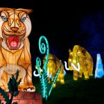 ‘A magical experience:’ How the Oakland Zoo’s Glowfari became a stunning attraction for 150,000 visitors each year