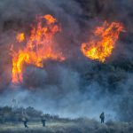 California Insurance Commissioner takes step to increase insurance availability in wildfire-distressed areas