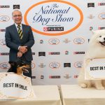 Dogs competed in a ‘smile-off’ contest at the National Dog Show preview. Everybody won