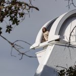 There’s a hidden white tower in the Palo Alto hills used to study the sun