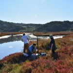 Stuck in the muck: Scientists study carbon trapped by Elkhorn Slough