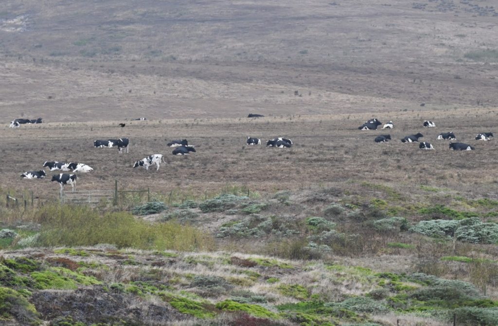 Point Reyes park litigants want residents excluded from talks