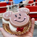 8 best things I ate at Disney Festival of Holidays