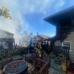 California fire that killed dog, damaged 6 homes started via compost that self-ignited