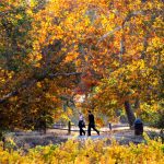 A “crisp, fall-like weekend”: Bay Area to see a cold, dry holiday break