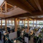 Google unveils unique and eco-friendly mass timber Sunnyvale office