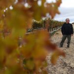 New college program seeks to reinvigorate Livermore Valley as a Bay Area winemaking hotspot