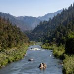 Walters: A century later, salmon spawn again in Klamath River after dams removed