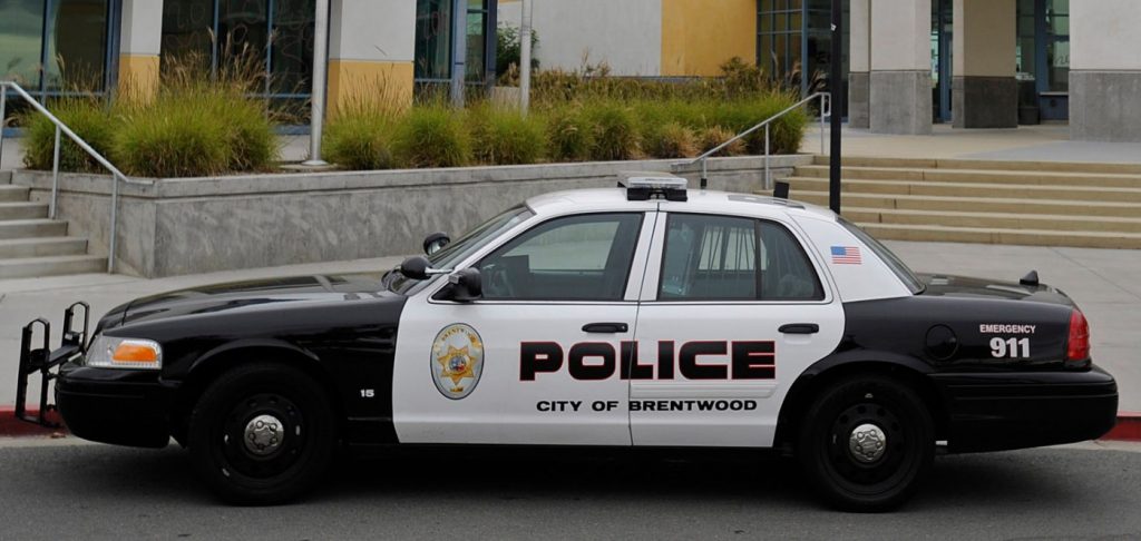 Woman mauled by Brentwood K-9 receives $1 million settlement